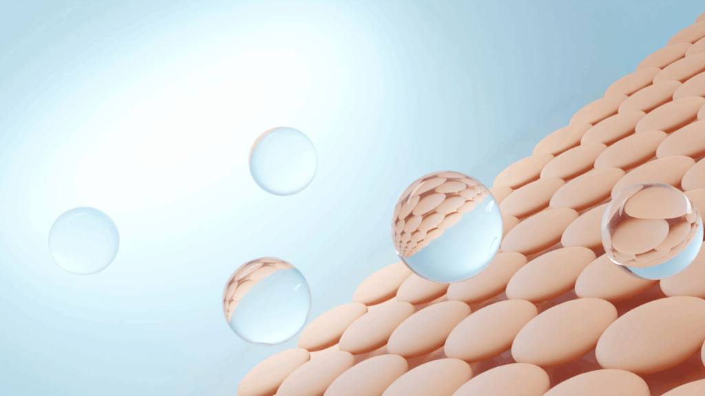 a healthy skin barrier