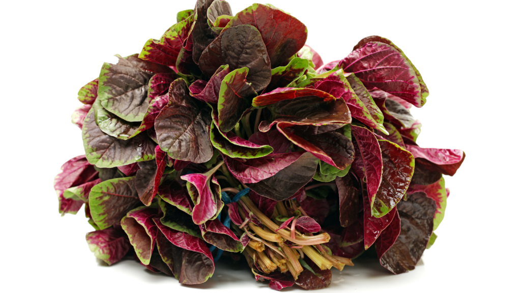 Amaranth Leaves